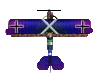 Pfalz D. XII