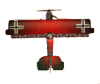 Pfalz D. XII